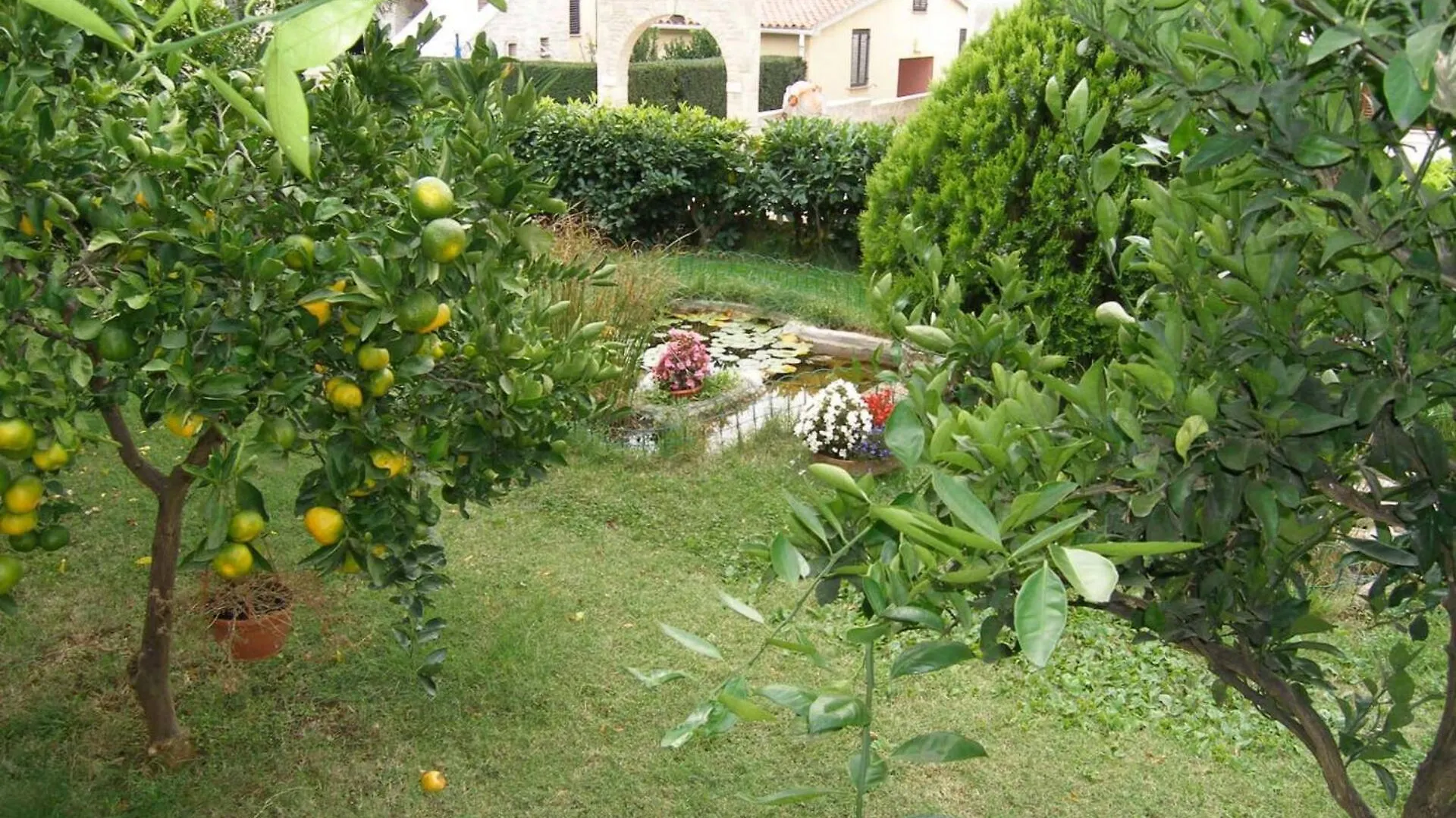 Gasthof Family House With 2 Apartments - Irma Medulin